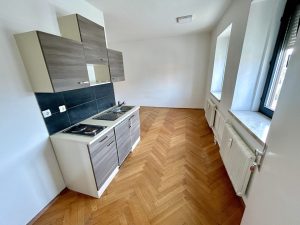 Wohnraum/Kochnische