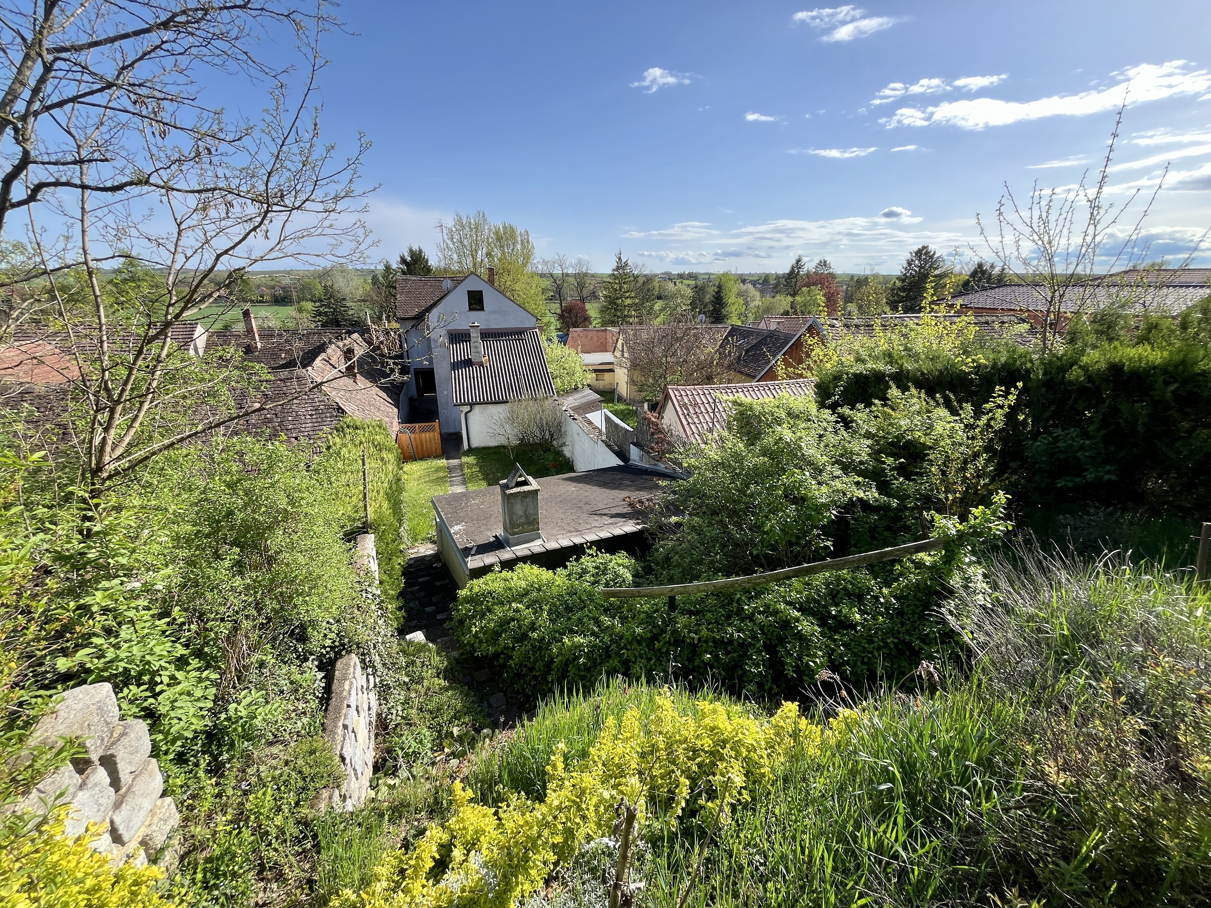 Garten oben/Ausblick