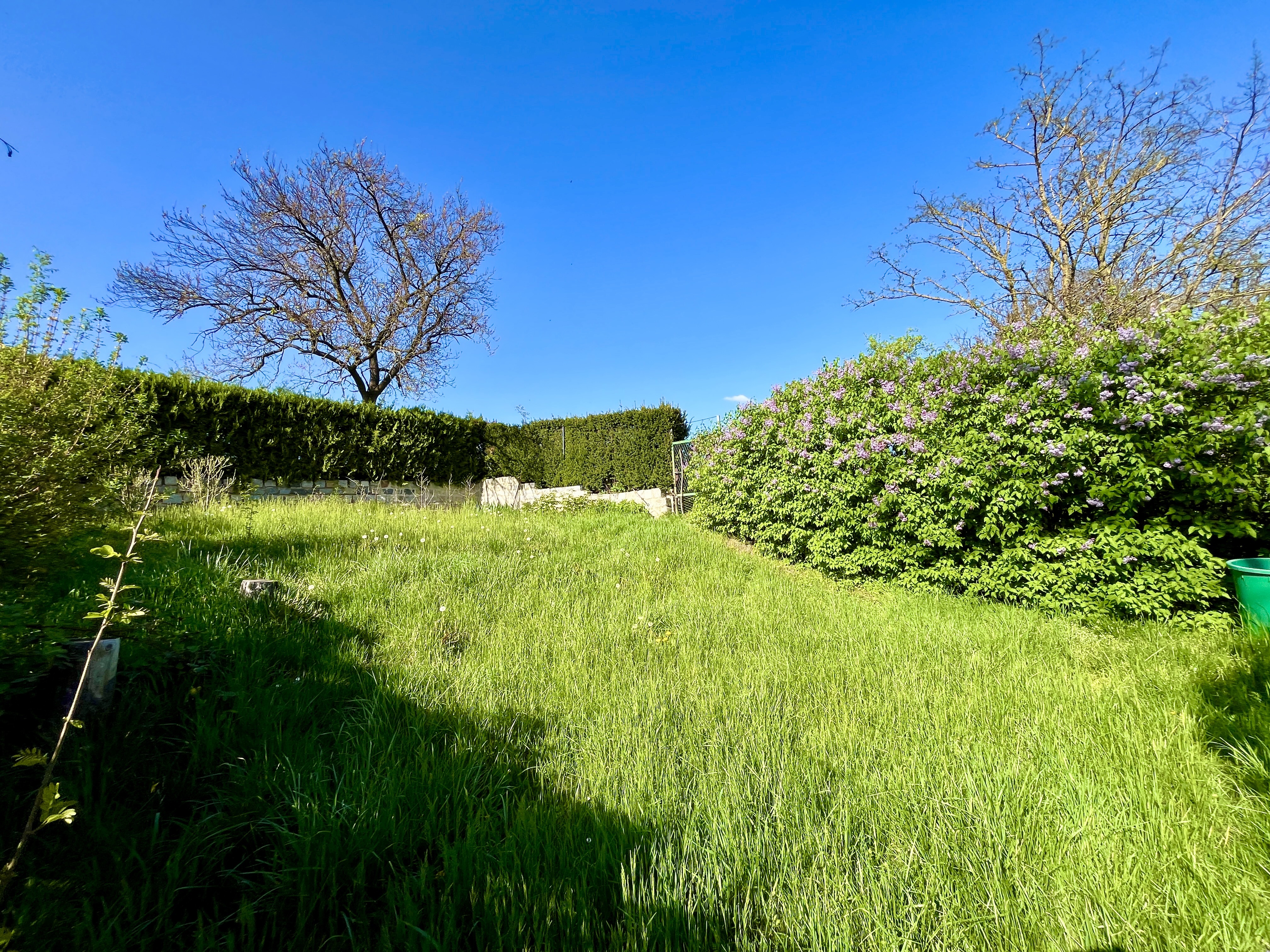 Garten oben