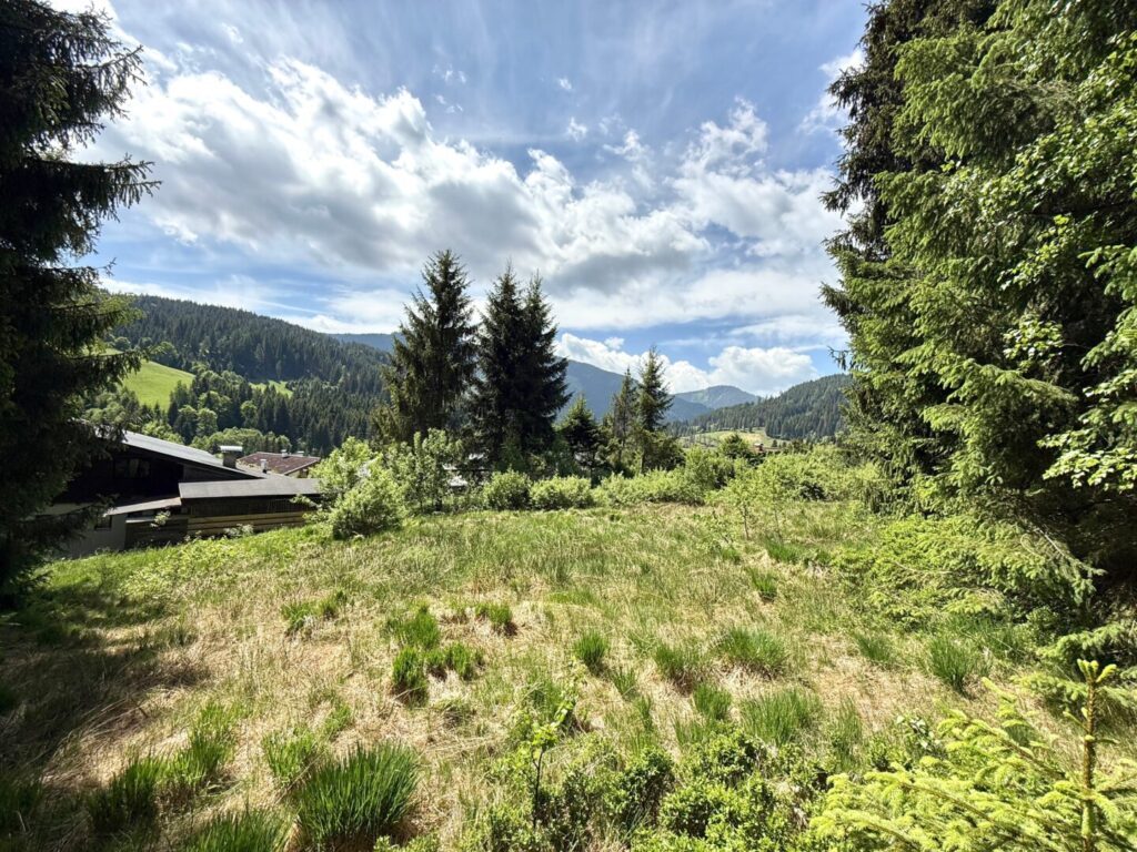 Grundstück