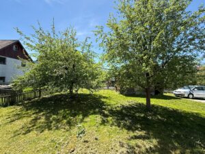 Allgemeingarten