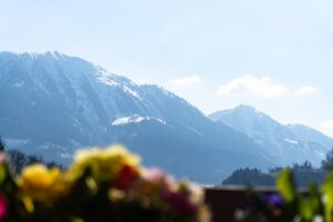 Ausblick