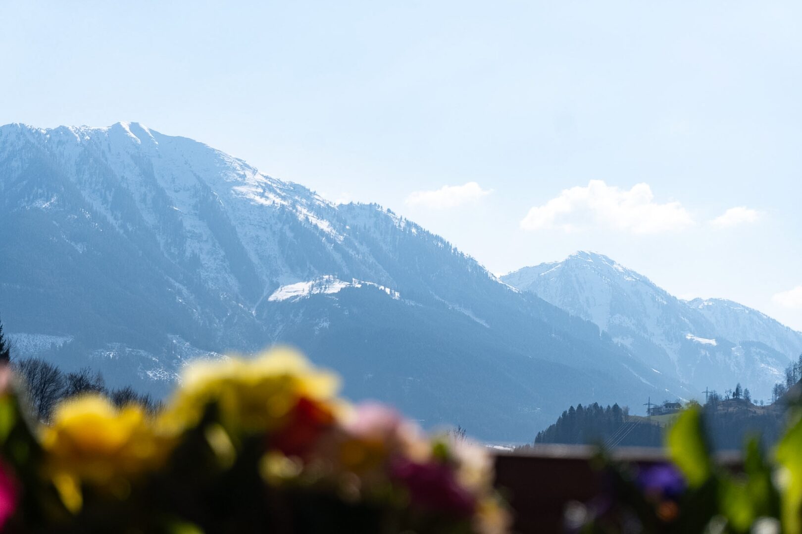 Ausblick