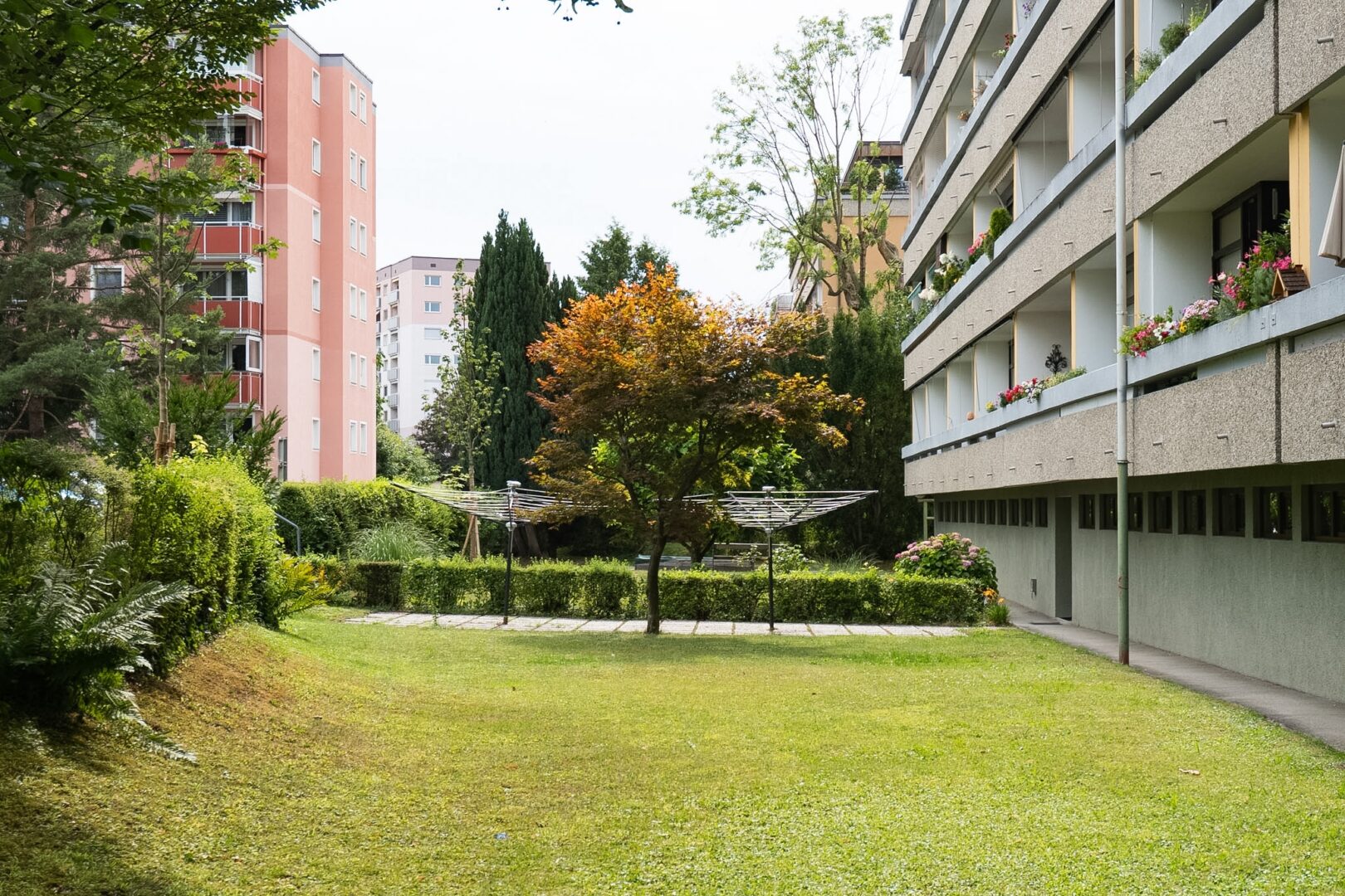 Gemeinschaftsgarten